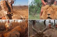 Un vânător de trofee, care omora animale pe cale de dispariţie, a fost împuşcat ...