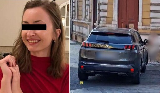 Ea este Aletta, tânăra însărcinată care a murit lovită de o mașină pe ...