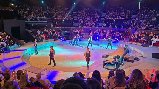 Striptease cu tricolorul la Circul de Stat din București. Preludiu, ...