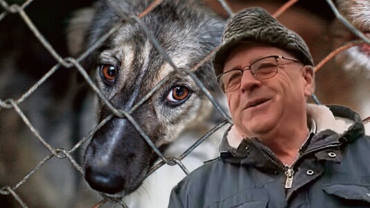 „Regele” eutanasierilor din Moldova. Cum să încasezi milioane de euro din ...