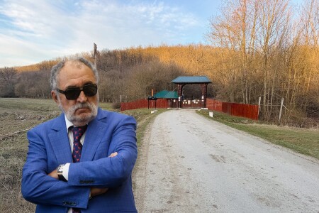 Umbrele lui Țiriac și Porsche la Balc, județul Bihor: „Se vânează mai pe ...