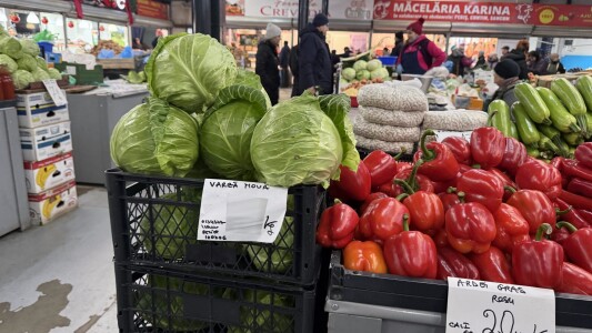 Cât costă un kilogram de varză nouă în piață? „Costuri, motorină, Bolojan, ...