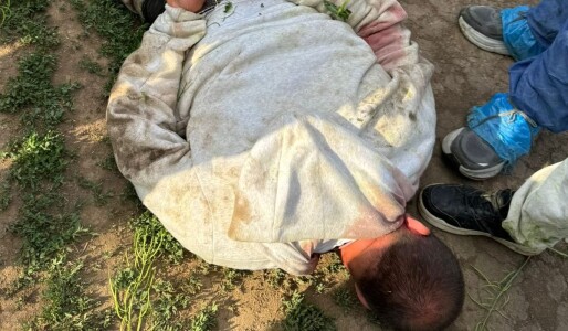 El este suspectul în crima din Bihor, unde o elevă de 18 ani a fost găsită ...