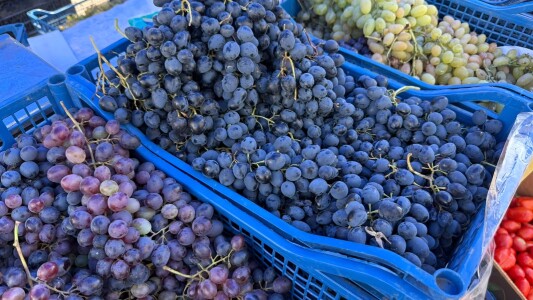 Cât costă mustul în piețele din București. Sucul dulce și proaspăt se vinde ...