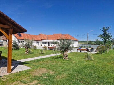 Fiica unui vârstnic cazat în azilele lui Viorel Pașca din Bihor: „Când îmi ...