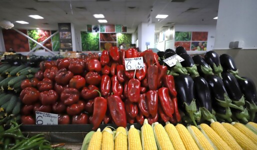 Cât costă să cumperi ingrediente pentru 10 borcane de zacuscă: calculul ...