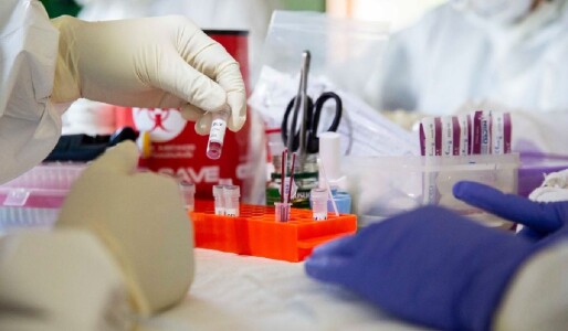 Spitalul din Ștei unde a fost confirmat un român infectat cu hantavirus a ...