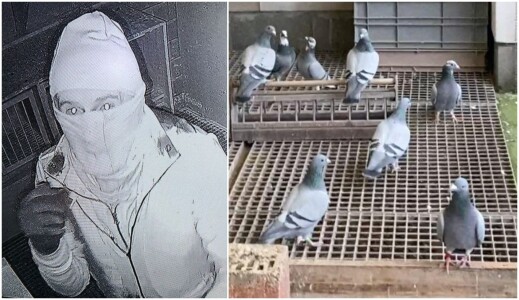 1.864.000 de euro sunt ceruți de la 8 români, care au fost prinși în țară ...