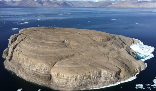 „Războiul whisky-ului”: Cum au rezolvat Danemarca și Canada un conflict ...