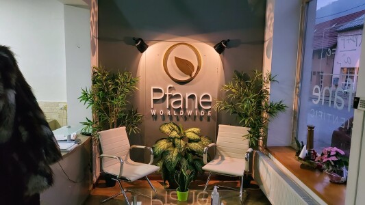 Tranzacții „artificiale” descoperite de ANAF. ONG din România, paravan ...