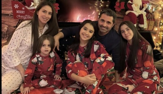 Cum a arătat Crăciunul în vila Danei Budeanu! Ca la ea, la nimeni! Lux ...