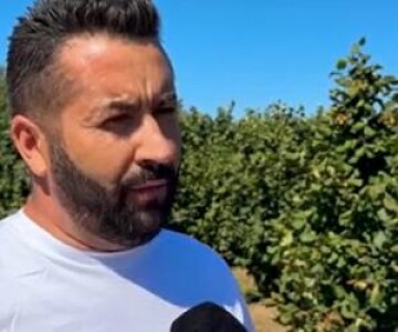 A dat lovitura cu un fruct tot mai căutat. Recolta ajunge direct în Italia