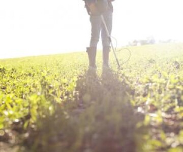 Descoperire inedită făcută de un bărbat pe un teren agricol dintr-o comună ...