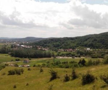 Se fac angajări într-o comună din Vâlcea. Un mare lanț de magazine caută ...