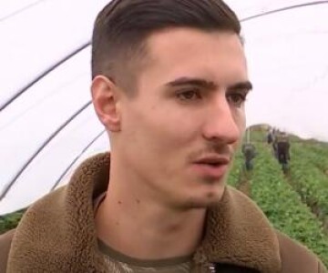Fructul românesc de vară care se vinde cu 40 de lei/kg în prag de ...