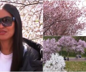 Reacţia unei turiste din Thailanda, care vede pentru prima dată "tunelul ...