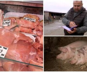 Cu cât vinde un fermier porcii de 120 de kilograme. "Putem să le dăm şi la ...