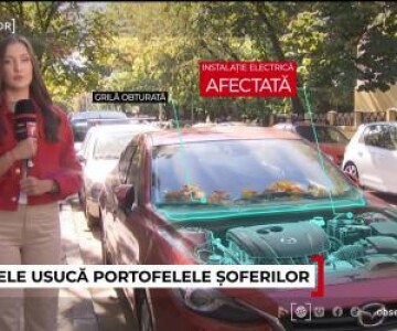 Greşeala banală care poate trimite maşina în service şi costa mii de euro: ...