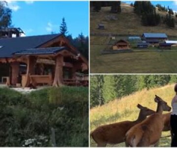 Afacerea de familie născută la 1.200 de metri altitudine în Bucovina. ...