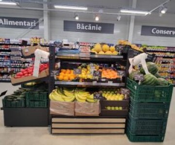 Angajări masive. Un mare retailer românesc caută manageri pentru magazinele ...