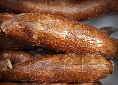 Topinamburi, rădăcini de arorut sau manioc: contabilii se uită în DEX și ...