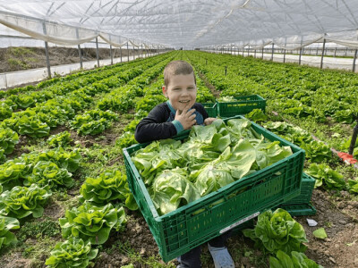 Fermierii au o idee simplă care poate salva hrana românească: „Clientul ...