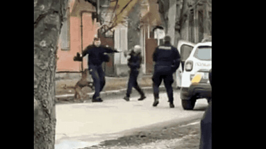Scenă crâncenă pe o stradă din Ucraina: polițiști atacați de un pitbull al ...