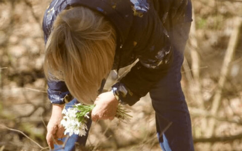 Dilema ghiocelului. O fotografie distribuită de Lucian Mîndruță a încins ...