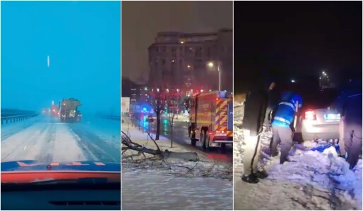 VIDEO Codul galben a făcut prăpăd: copaci rupți și mașini distruse în ...