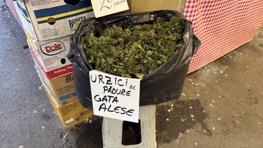 Urzicile au ajuns să bată carnea de vită: prețuri de lux în piețele din ...