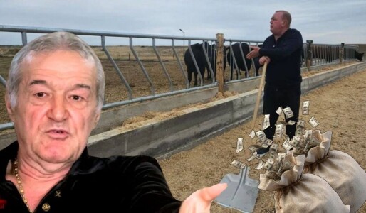 Gigi Nețoiu, amendat pentru ferma de 6 milioane de euro de instituția cu ...