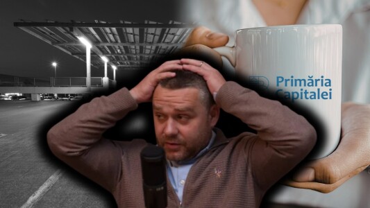 Lux pe datorie la PMB: 60.000 de lei pentru căni personalizate, în pragul ...