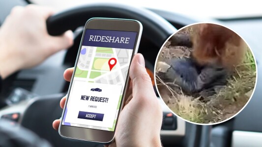 Dosar penal după un incident șocant în Iași. Șoferul de ride-sharing care a ...