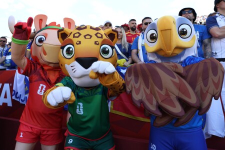 Mascotele de la Cupa Mondială au arestat un presupus traficant de droguri! ...