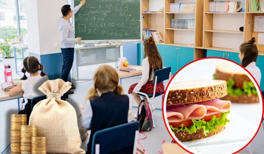 Sandviciuri de un milion de lei în 1.400 de unități de învățământ. Statul ...