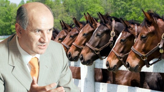 George Copos investește milioane anual în hipism: costuri de 1 milion de ...