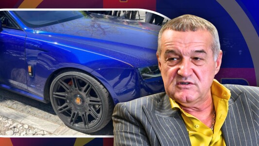 „Balaurul” pe care Gigi Becali a plătit 650.000 de euro ajunge în weekend ...