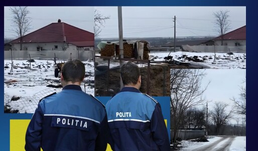 Dezvăluiri despre crima înfiorătoare din Botoșani, în urma căreia șase ...