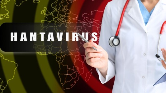 Risc de pandemie de hantavirus? Medicii explică de ce nu trebuie să ne ...