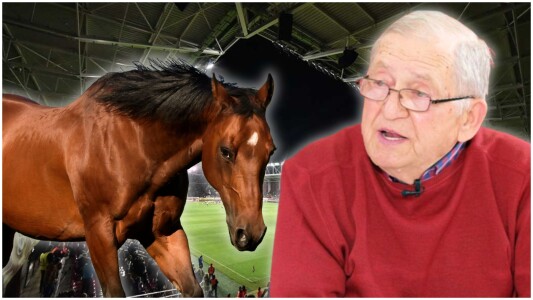 Cum a ajuns un cal în vestiarul Rapidului. „Joc cu Dinamo duminică și n-am ...