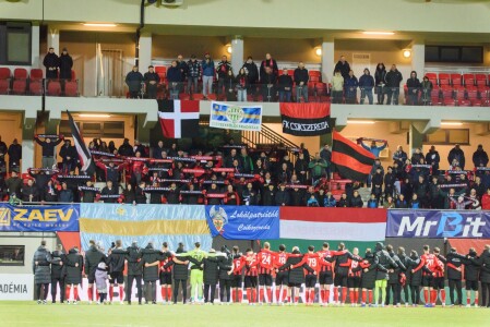 De ce UDMR a votat, de fapt, împotriva legii berii pe stadioane. Ce ...