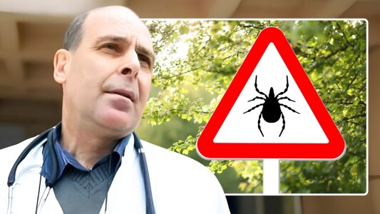 Boala transmisă de căpușe, mult mai periculoasă decât Lyme: „Are o ...