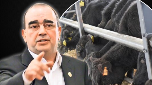 Mitică Dragomir a explodat după informaţiile că ferma lui Gigi Nețoiu ar fi ...