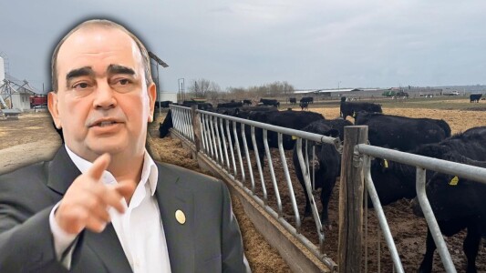 Domeniul de-o importanță deosebită în România în care a dat lovitura Gigi ...
