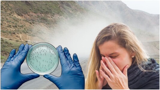 „Febra văii”, boala invizibilă din aer care se răspândește rapid și poate ...