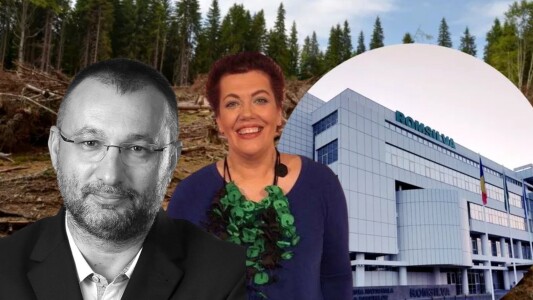 Contracte publice cu dedicație la Romsilva. Schema prin care banii publici ...