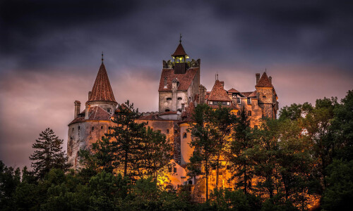 EXCLUSIV Castelul Bran - luat de americanul care se ocupă de moștenirea lui Elvis Presley