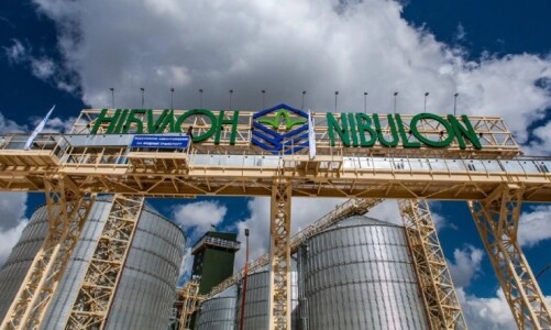 Nou mare investitor în România - Fiul magnatului ucrainean Oleksii Vadaturski aduce Nibulon pe piața locală