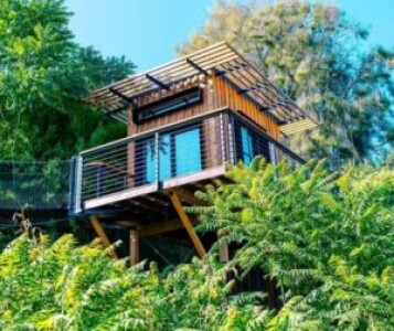 Căsuțe în copac – proiecte atipice pentru copacul din curte