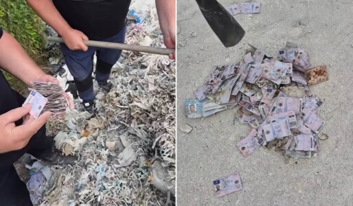 Sute de permise de conducere românești erau să fie transformate în hârtie ...